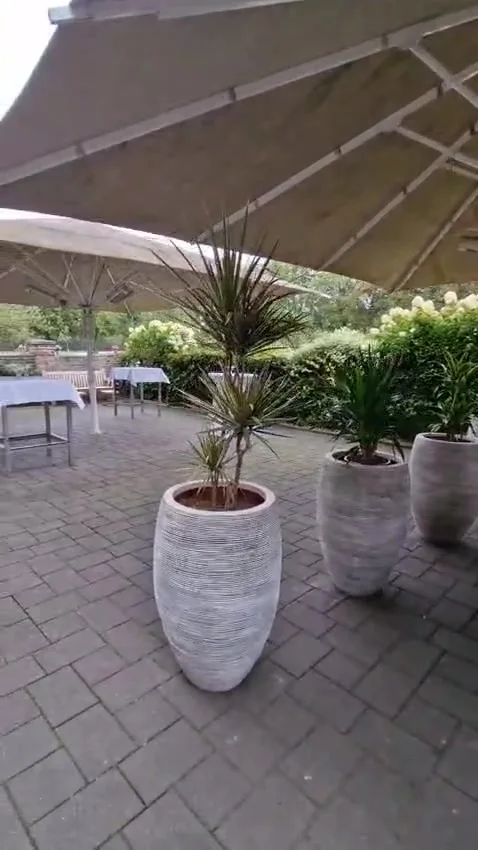 Terrasse von Samara mit Sonnenschirm und bepflanzten Töpfen